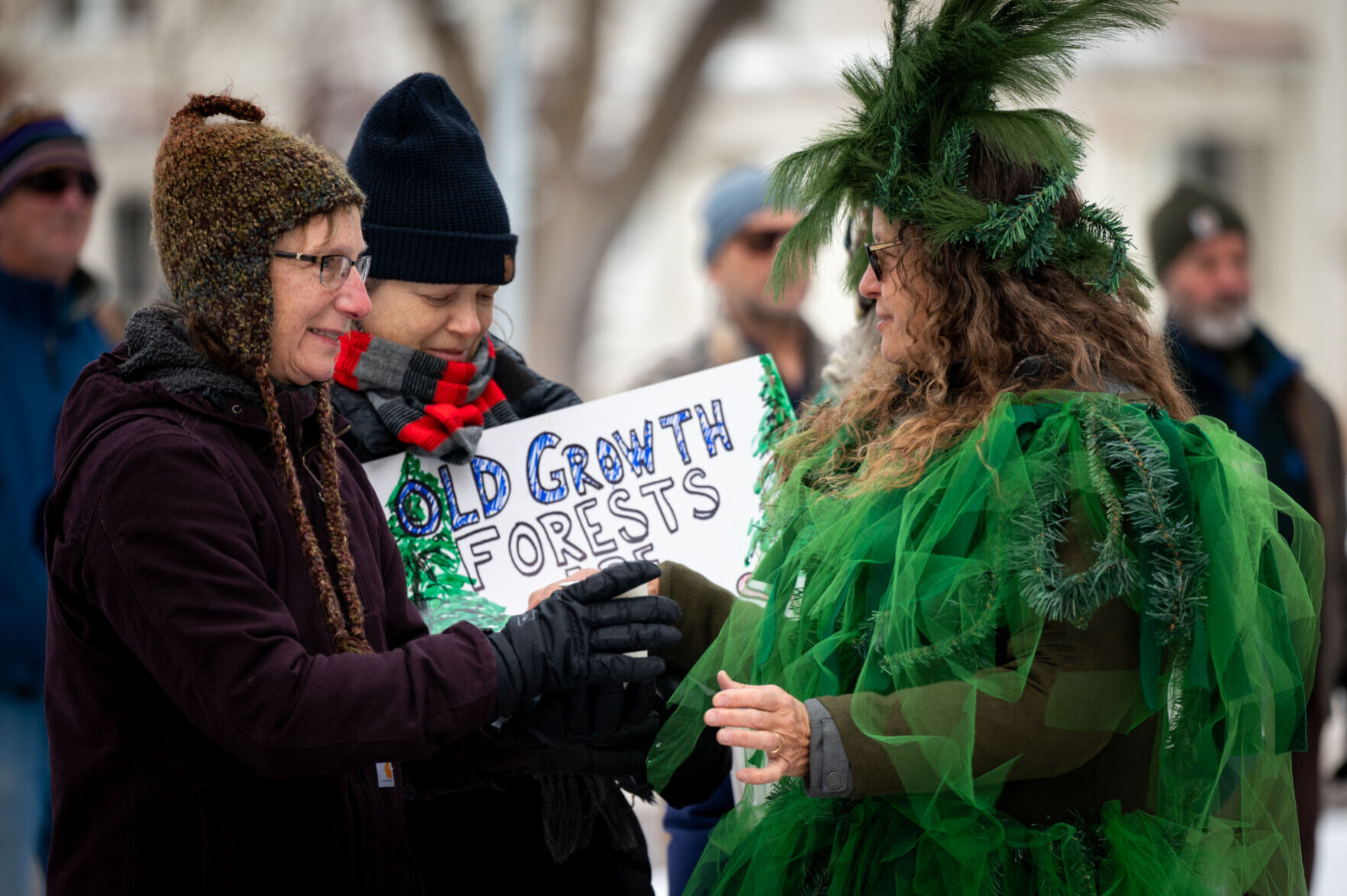 Old-growth forest rally-05.jpg